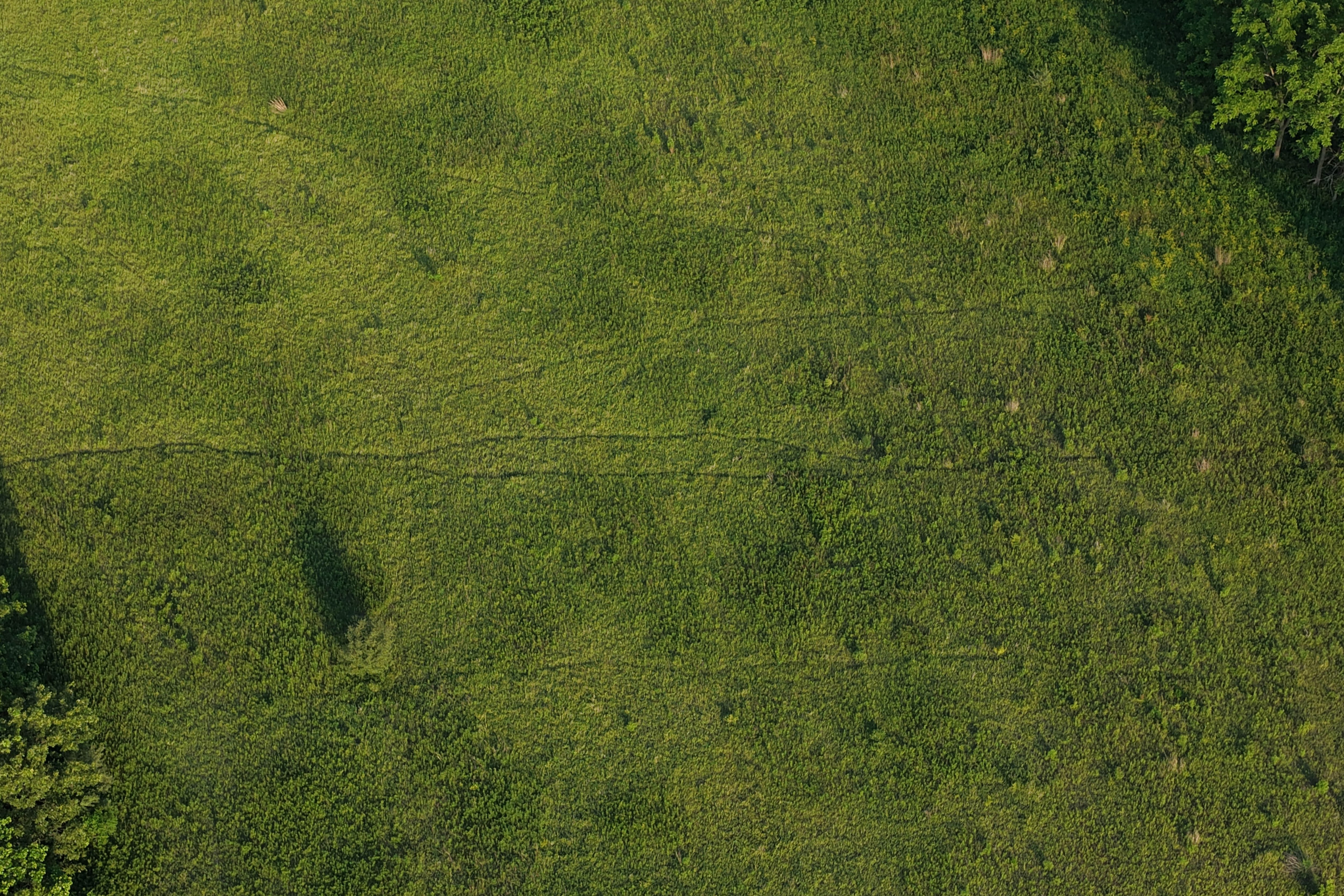 Listing Photo: Muscatine County Iowa Recreational Farm with Income-90